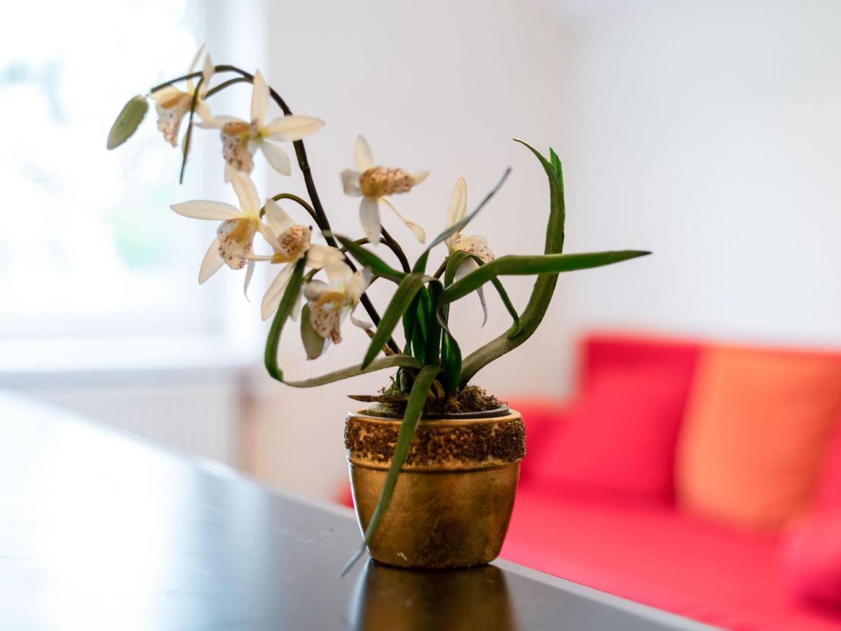 Lively Holiday In With Private Garden