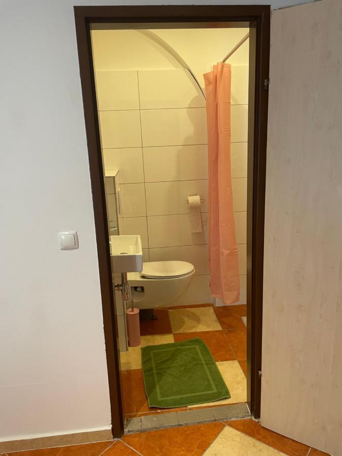 Hostel Viktoria *