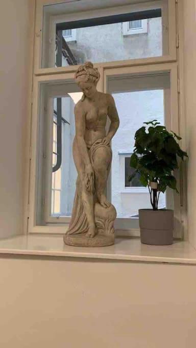 Apartment Luxurious In The Centre Of Vienna