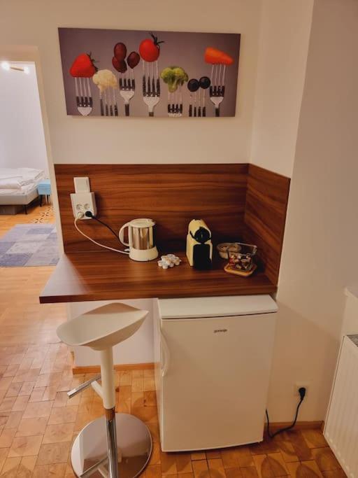 Sissi Royal - Inner 4 Bedroom Apartment Vienna