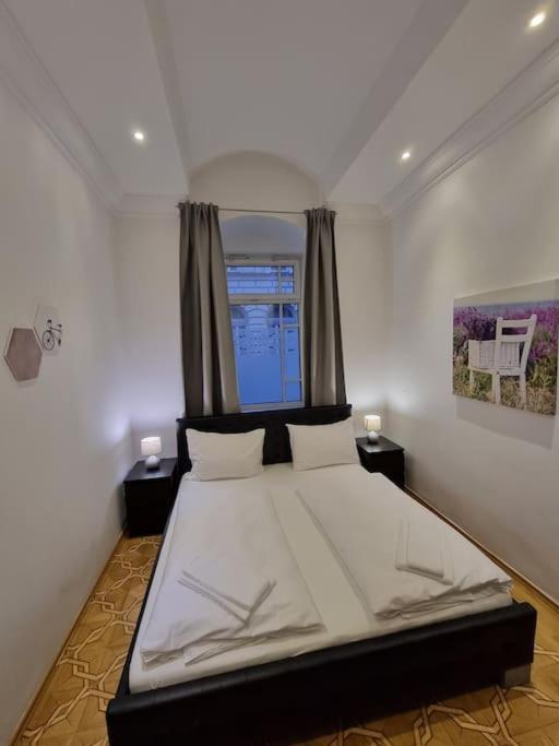 Sissi Royal - Inner 4 Bedroom Apartment Vienna