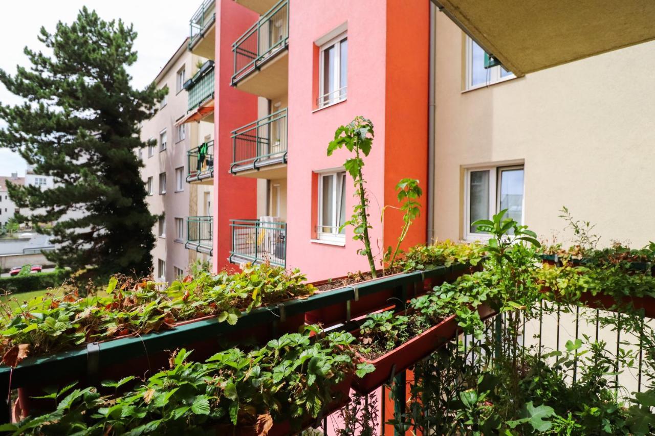 Cozynite Premium Schoenbrunn 2 Apartment