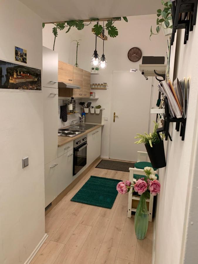 And Cosy Apartment Vienna