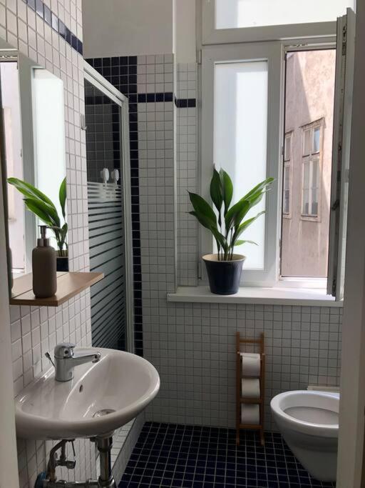 Neues, Gemuetliches Im Zentrum In Ruhelage Vienna