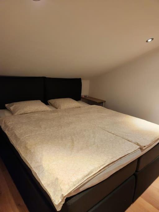 Apartment Stillvoller Nahe Prater Vienna