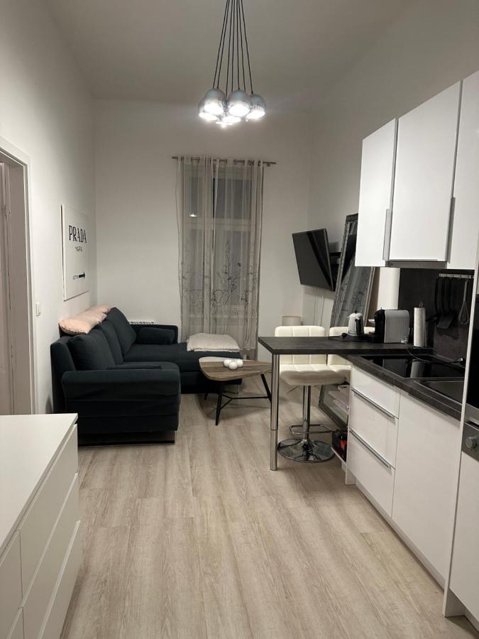 Comf. Apart Near The - 13 Minutes To 1st Apartment