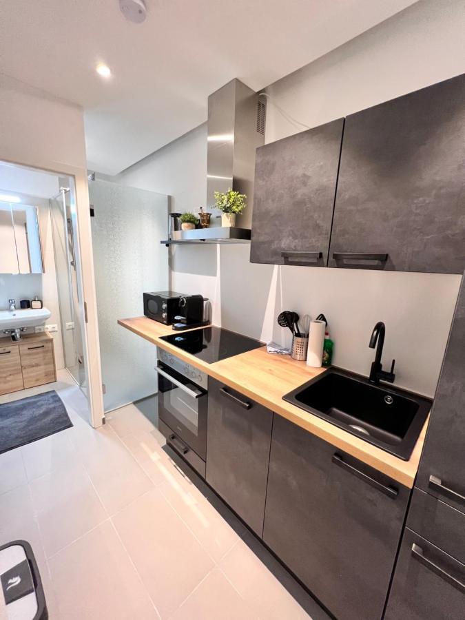 Modern Flat With Two Viena