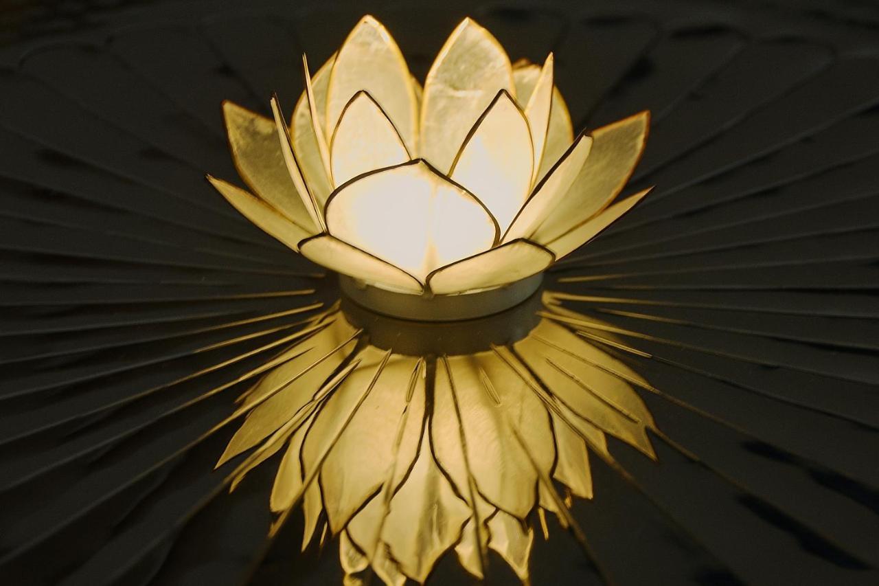 White Lotus Apartment *