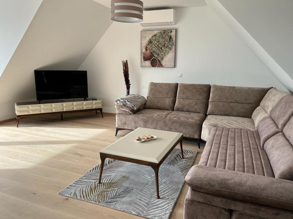 New Design Penthouse And Apartment
