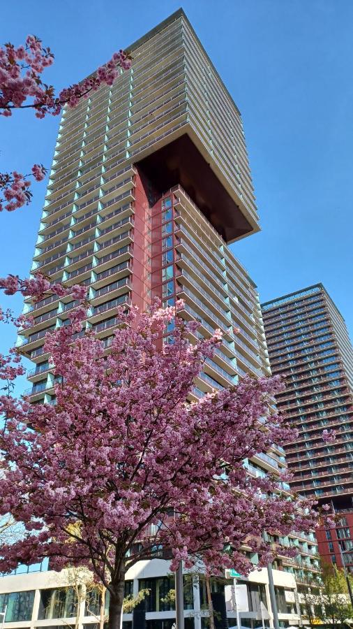 Premium Apartment, Family Friendly Apartment *