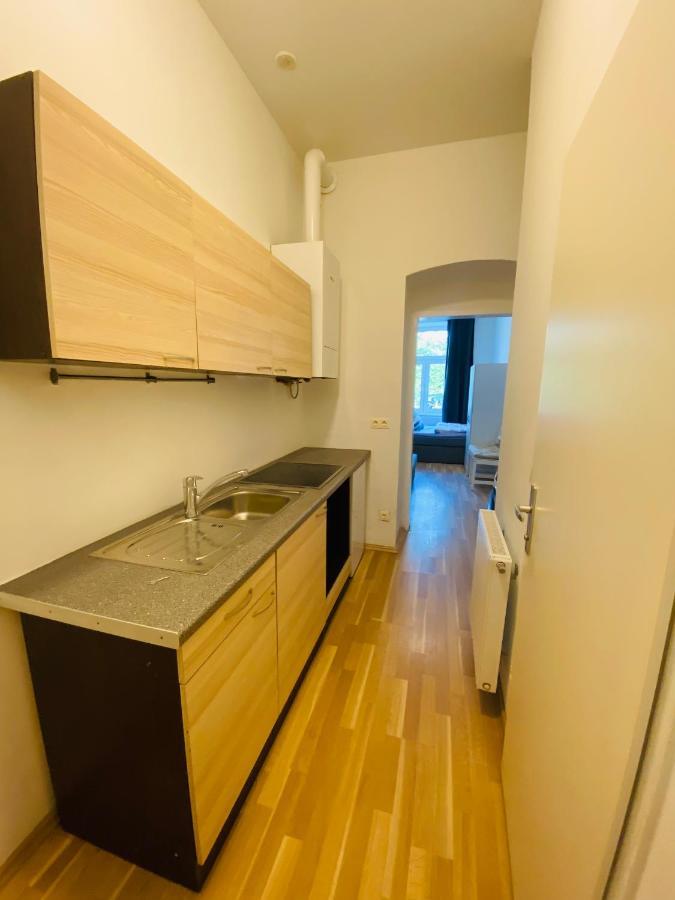 Apartment Niceapartmenthollergasse 1a *