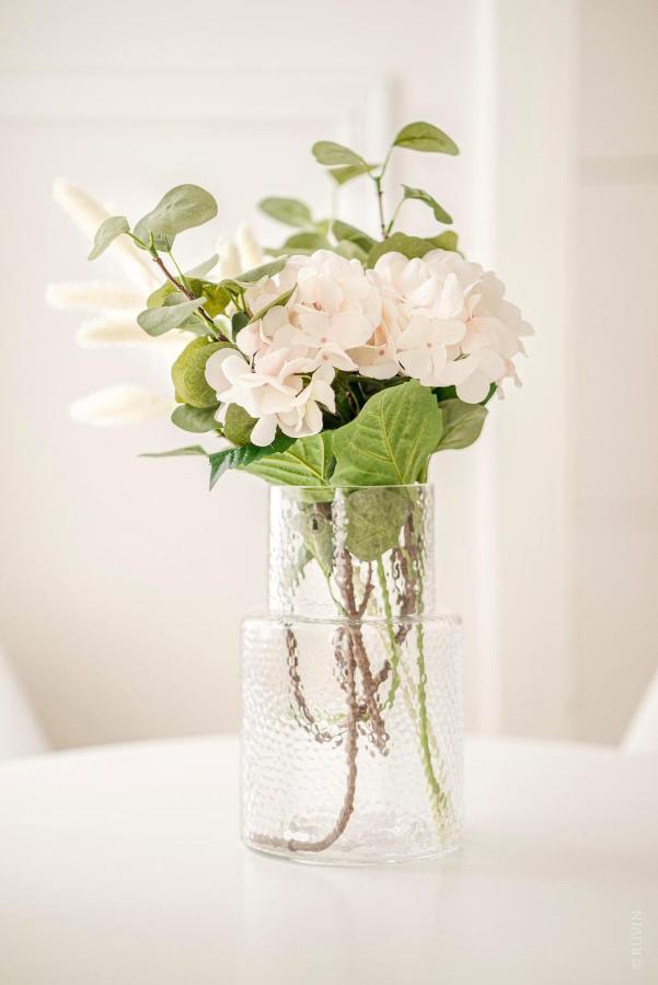 Apartment Designer Near Schoenbrunn