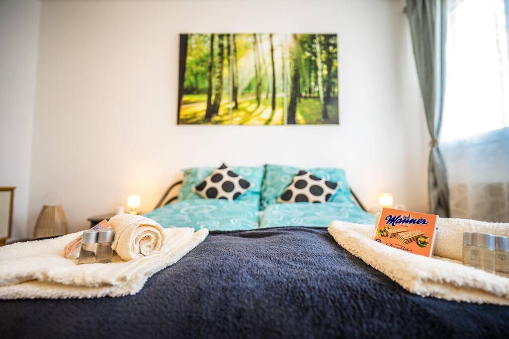 Location, Near Schoenbrunn, 2 Min To U4 Laengenfeldgasse