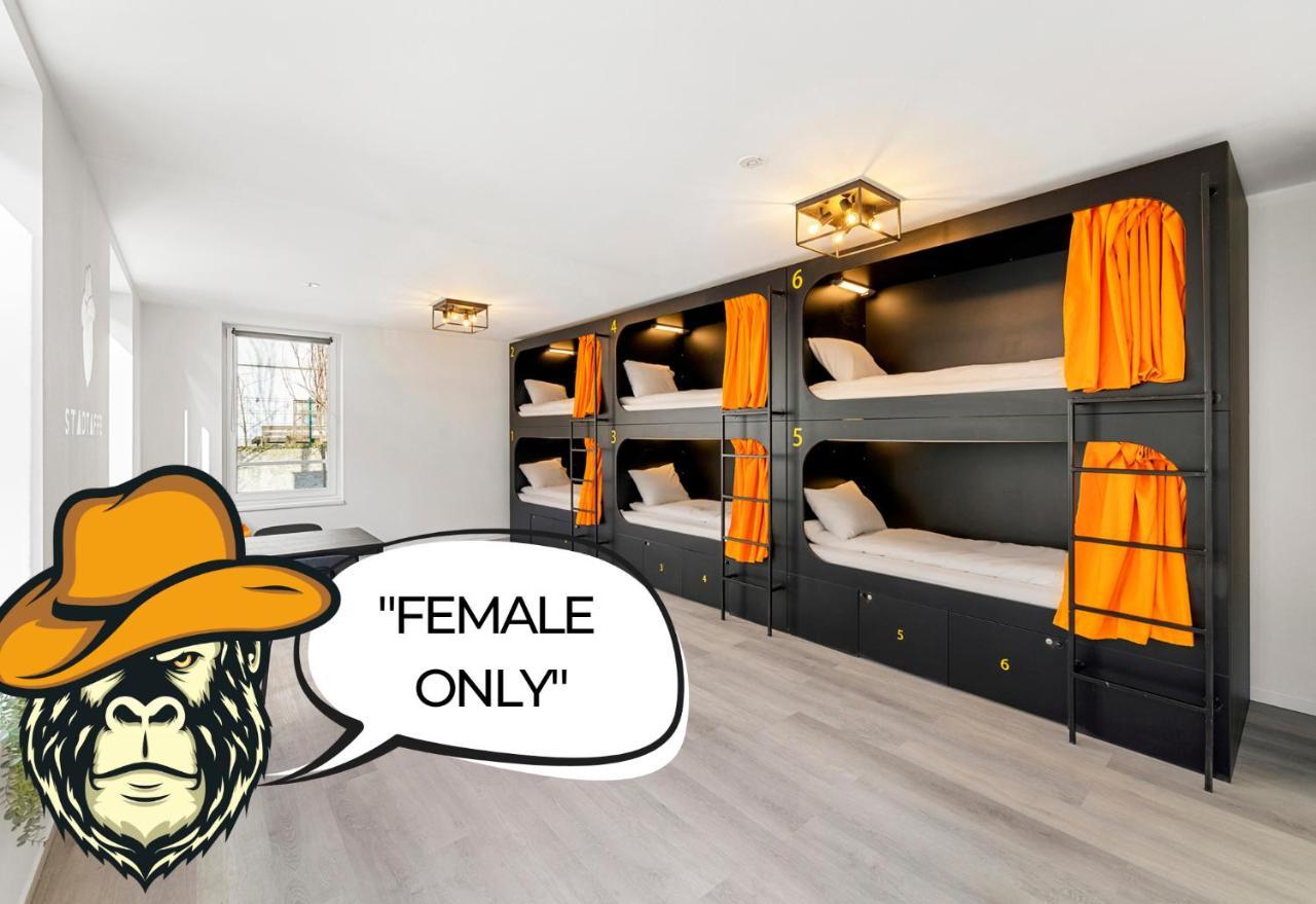 Hostel Stadtaffe - Chic Vie *
