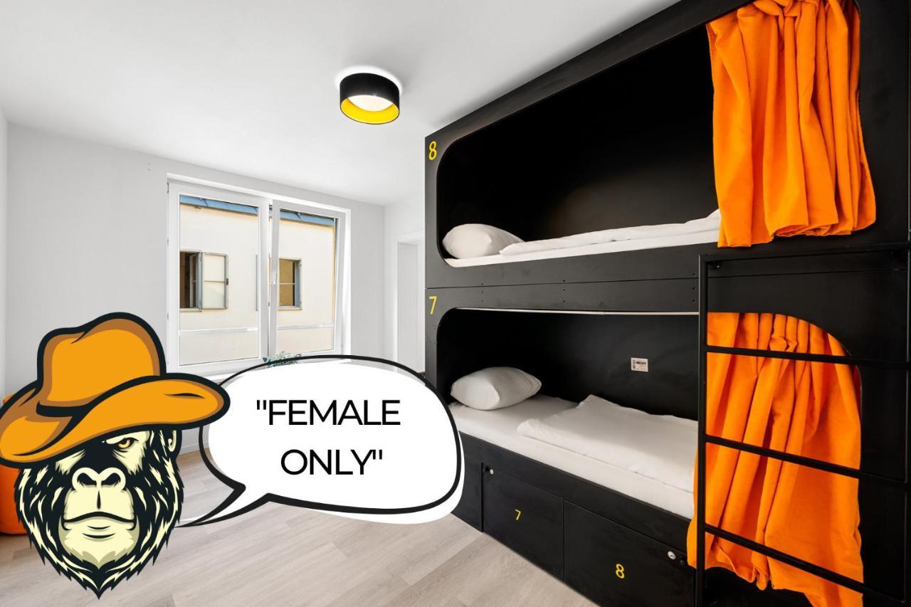 Stadtaffe - Chic Vie Hostel *