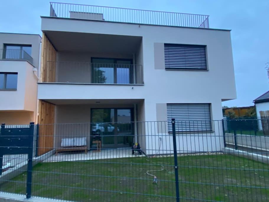 Modern Gardenia_gartenwohnung Alte Donau *
