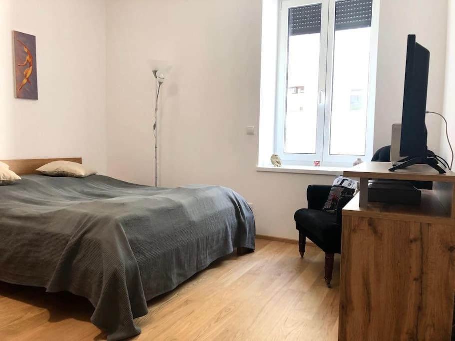 Cozy Flat - Near Schoenbrunn *