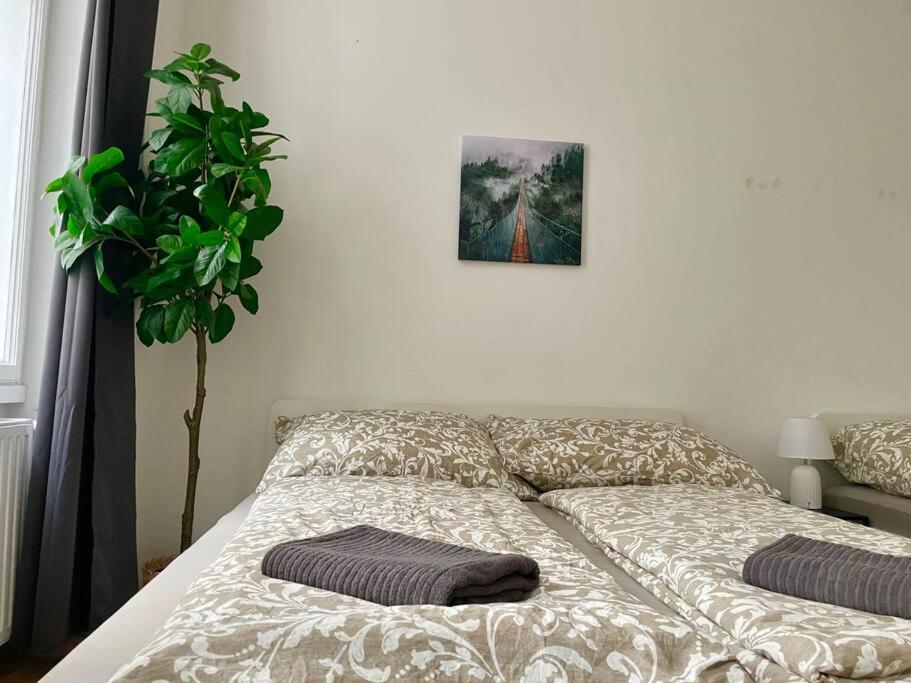 70m2 Premium With Terrace & Free Parking
