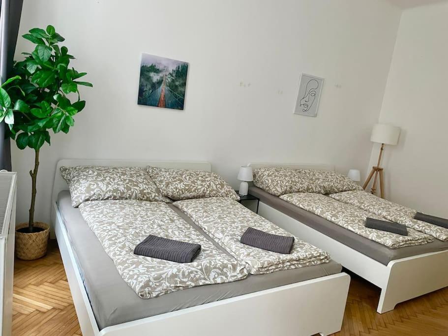 Apartment 70m2 Premium With Terrace & Free Parking *