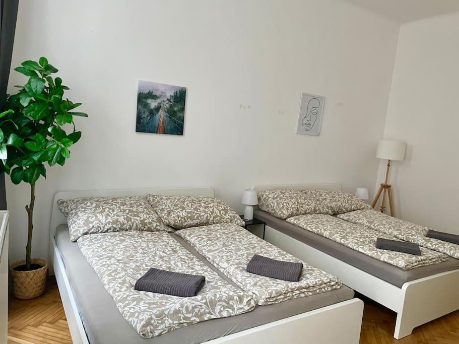 Apartment 70m2 Premium With Terrace & Free Parking Vienna