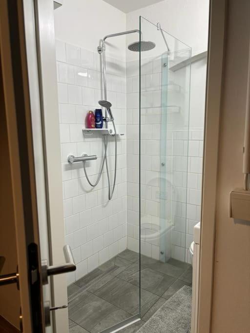 Apartment Trendy Souterrain Loft - Near City Center Vienna