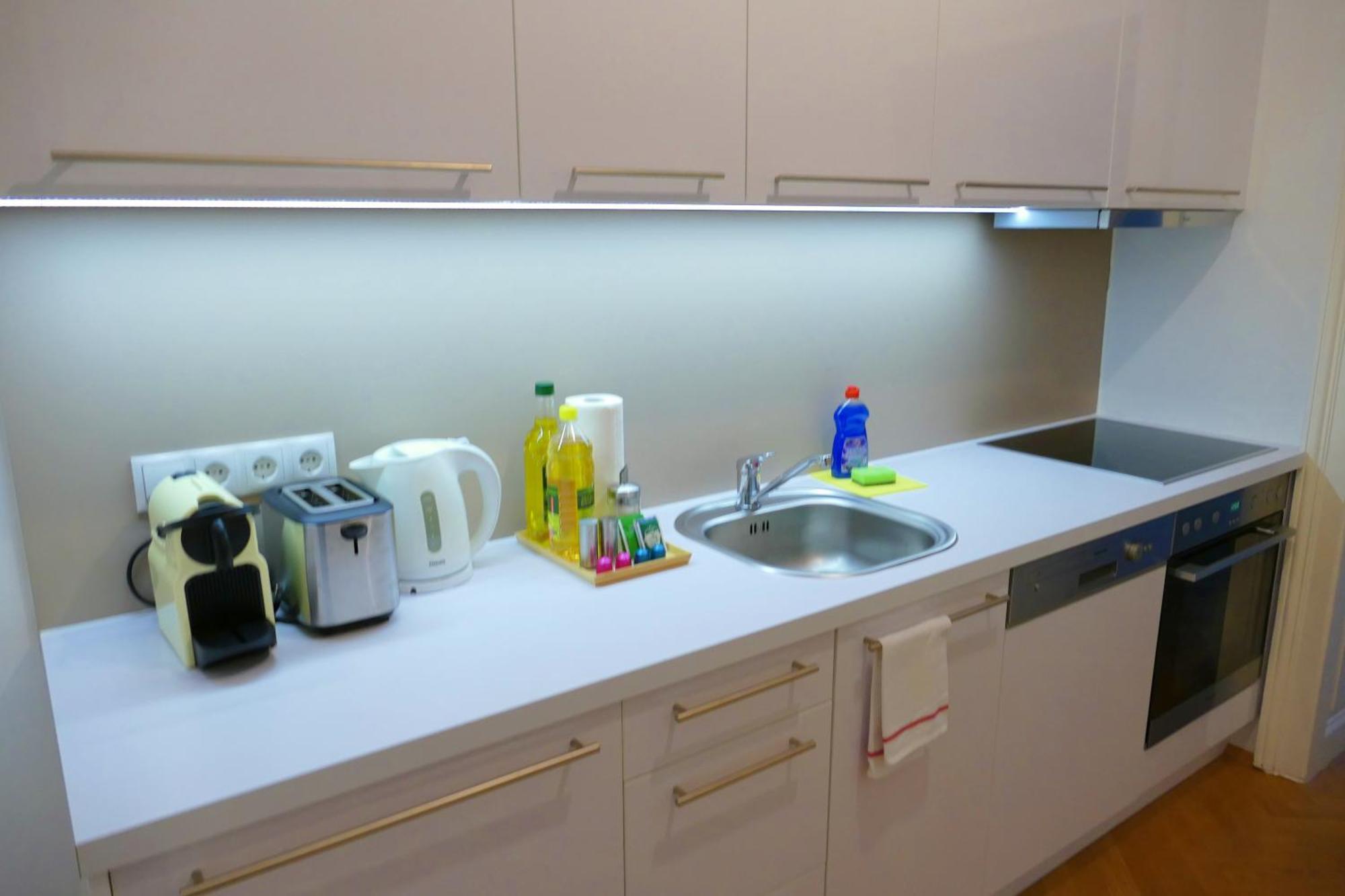 Ks70 Apartment Vienna