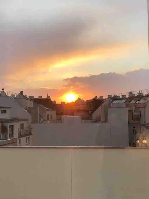 Rooftop In And Over * Vienna