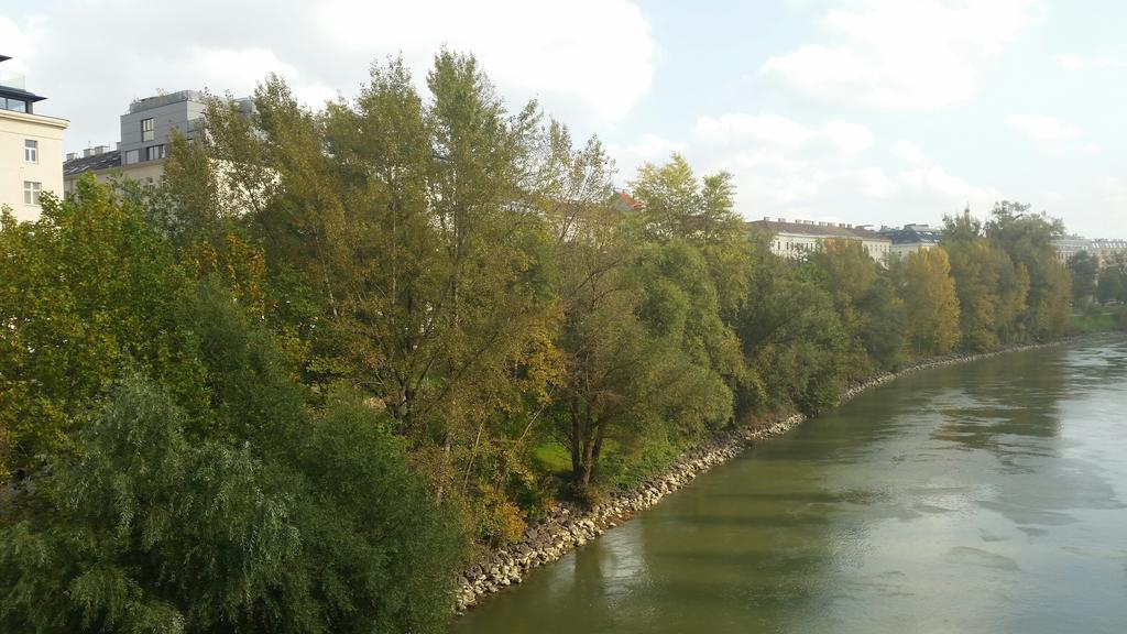 Goldfisch Am Donaukanal