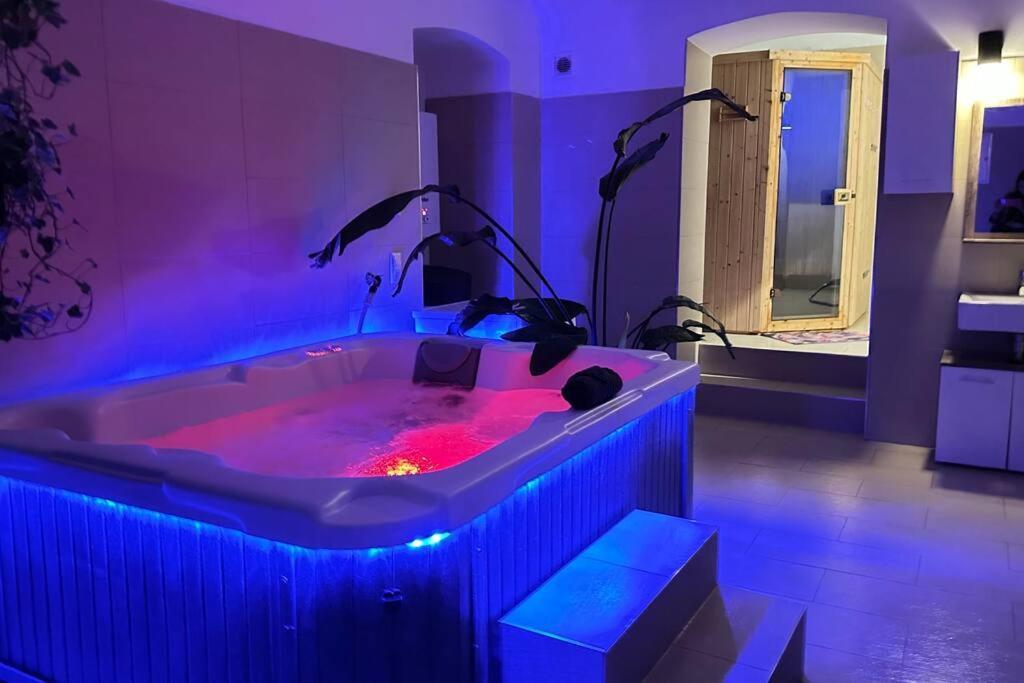 Apartment African Paradise With Jacuzzi & Sauna Wien