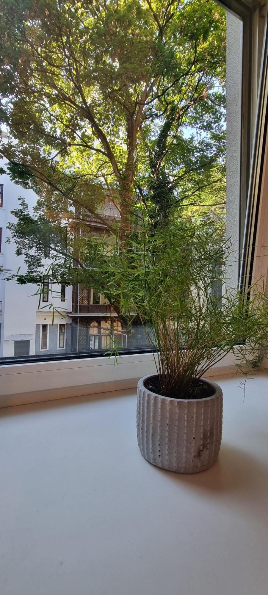 My City 1 Bedroom Vienna