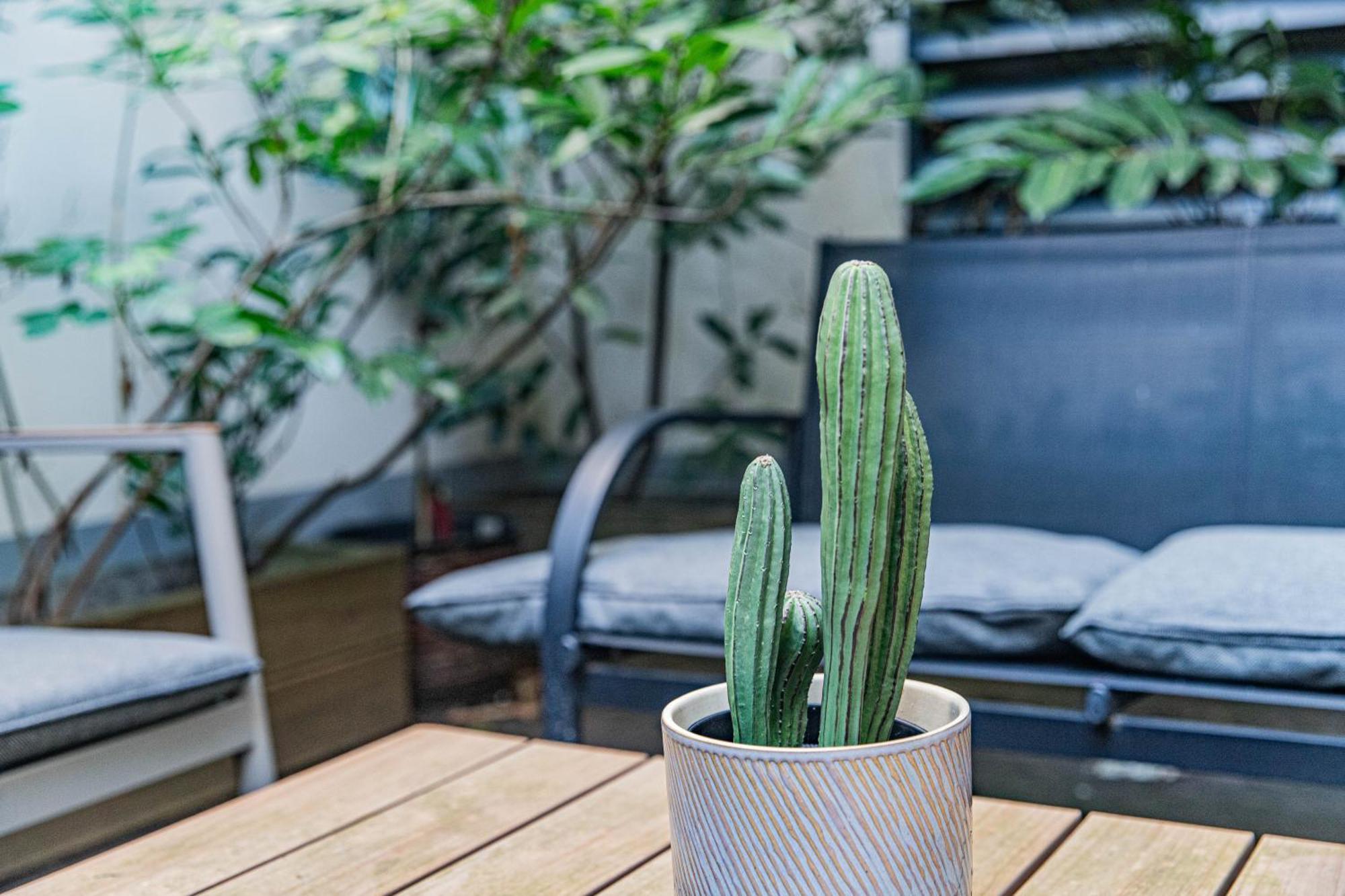 Apartment Garden Near Haydnpark