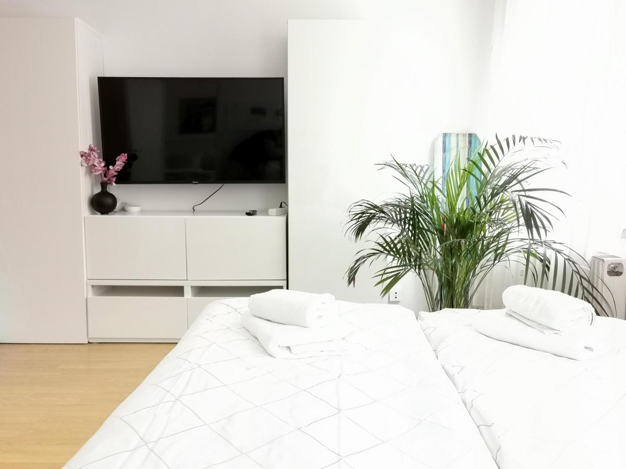 Apartamento The White - Great Ferris Wheel *