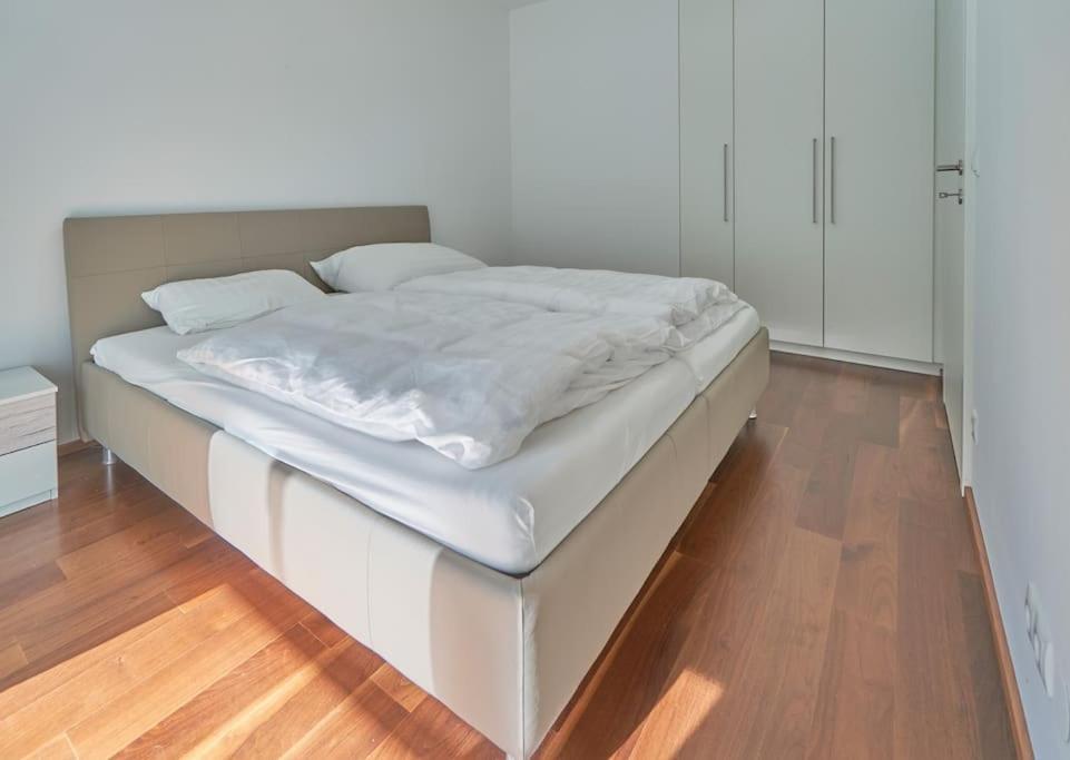 Apartment Zentrumsnahe Vienna