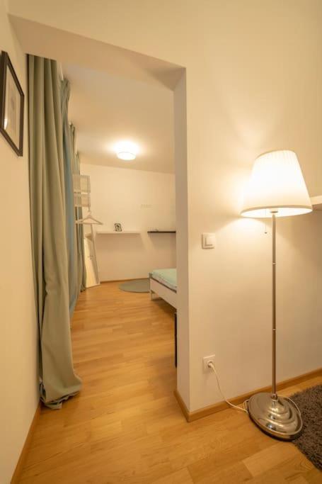 Spacious Mitten In Apartment