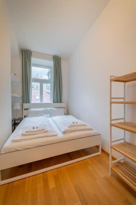 Spacious Mitten In Apartment Vienna