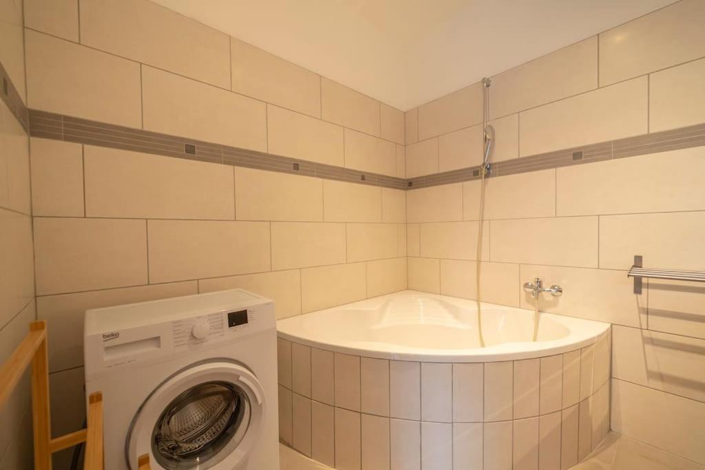 Apartment Spacious Mitten In Vienna