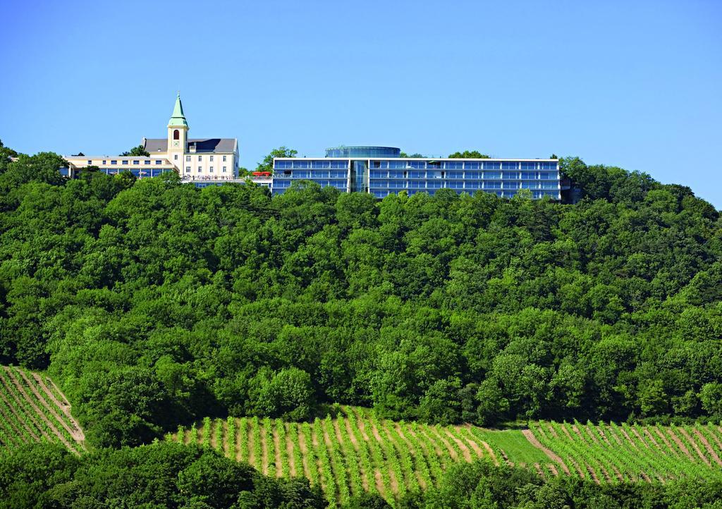 Suitehotel Kahlenberg Aparthotel