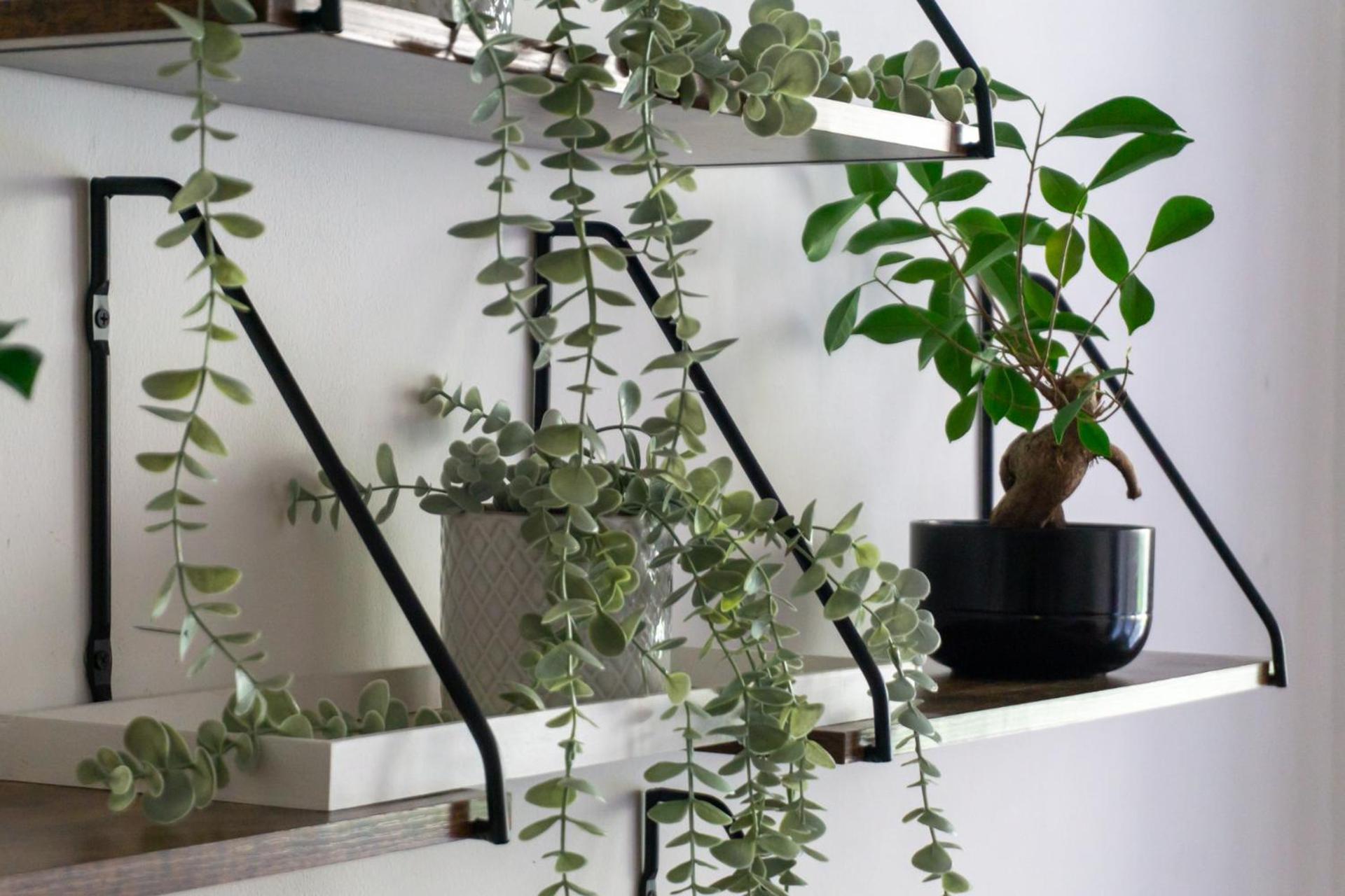 Apartment With Garden Close To Stadthalle, Westbahnhof Vienna