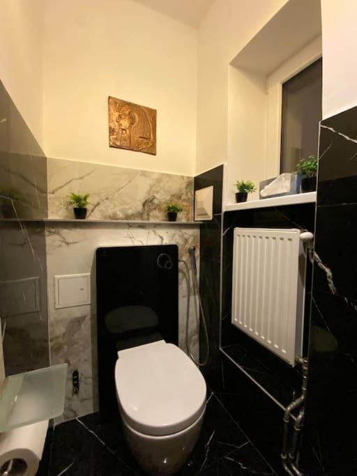 Herrenhaus Hoeniger Flughafen 11min/wienmitte 12min Apartment