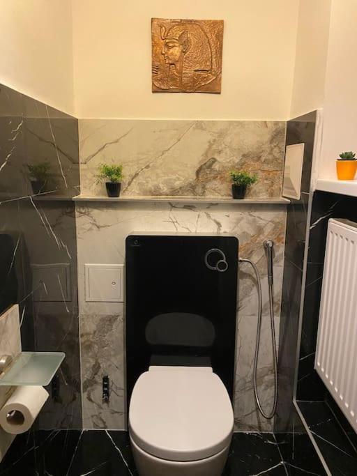Apartment Herrenhaus Hoeniger Flughafen 11min/wienmitte 12min