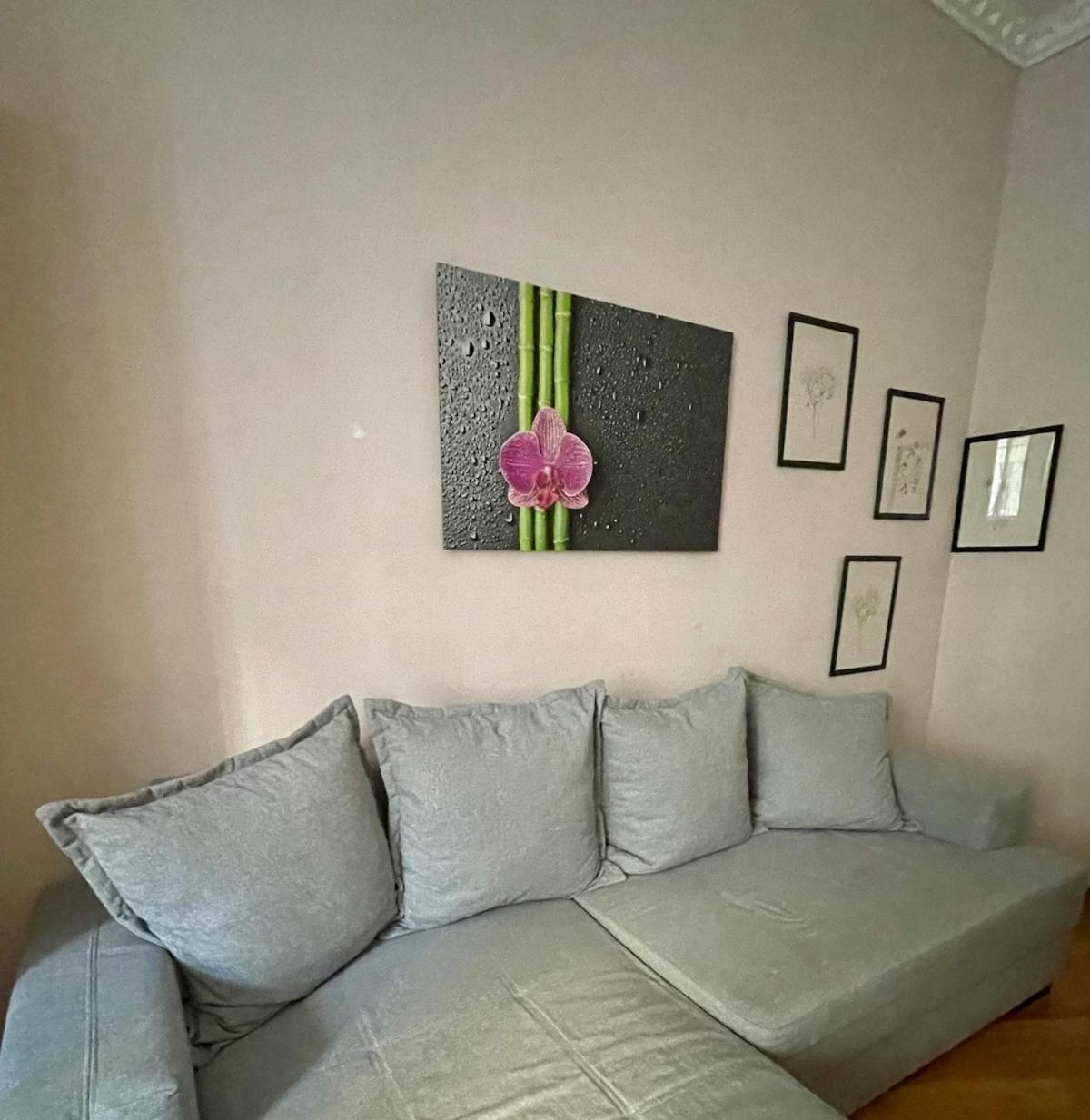 Apartment Gemutliche Mit Super Lage