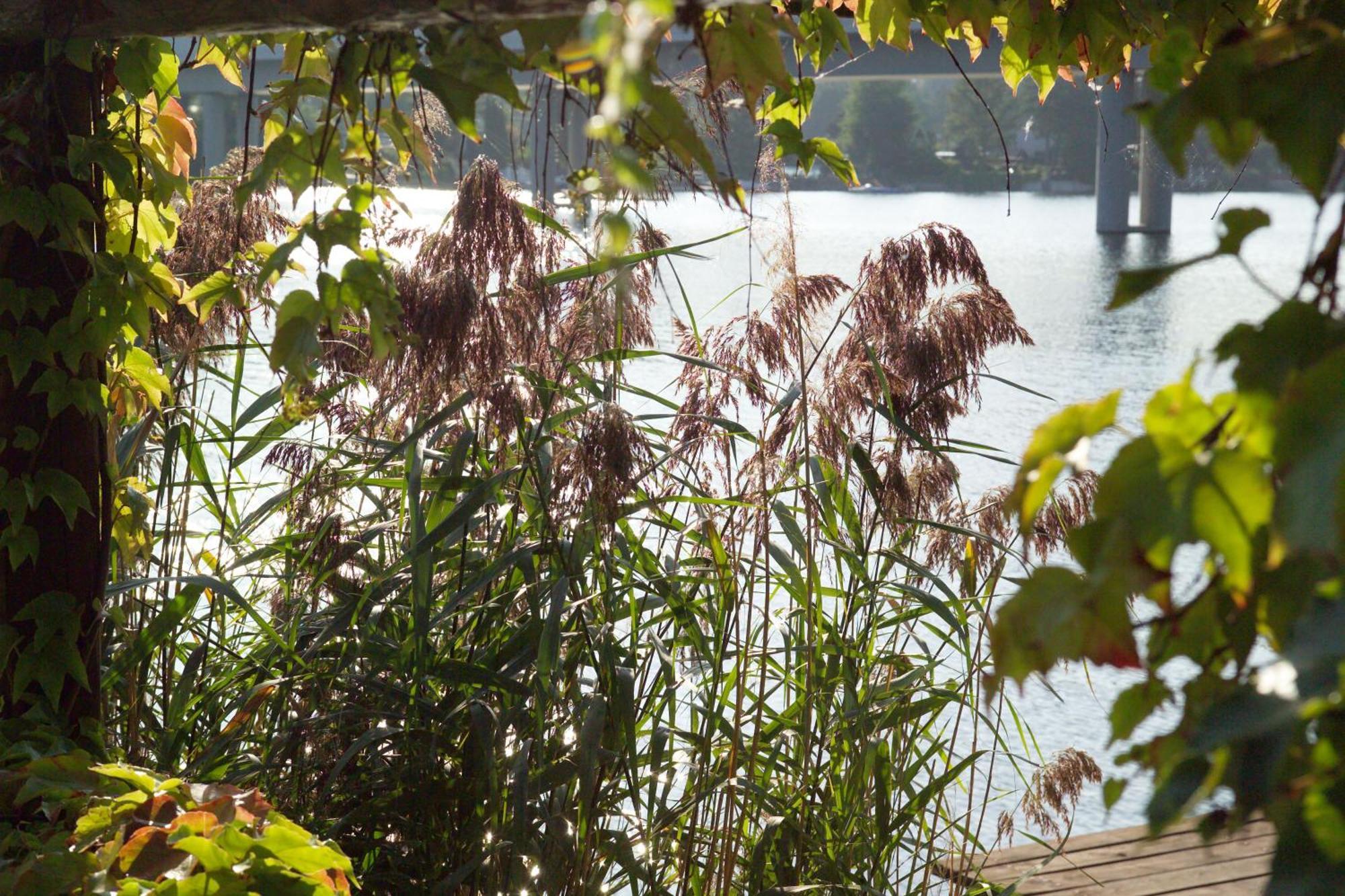 Strandhotel Alte Donau Hotel