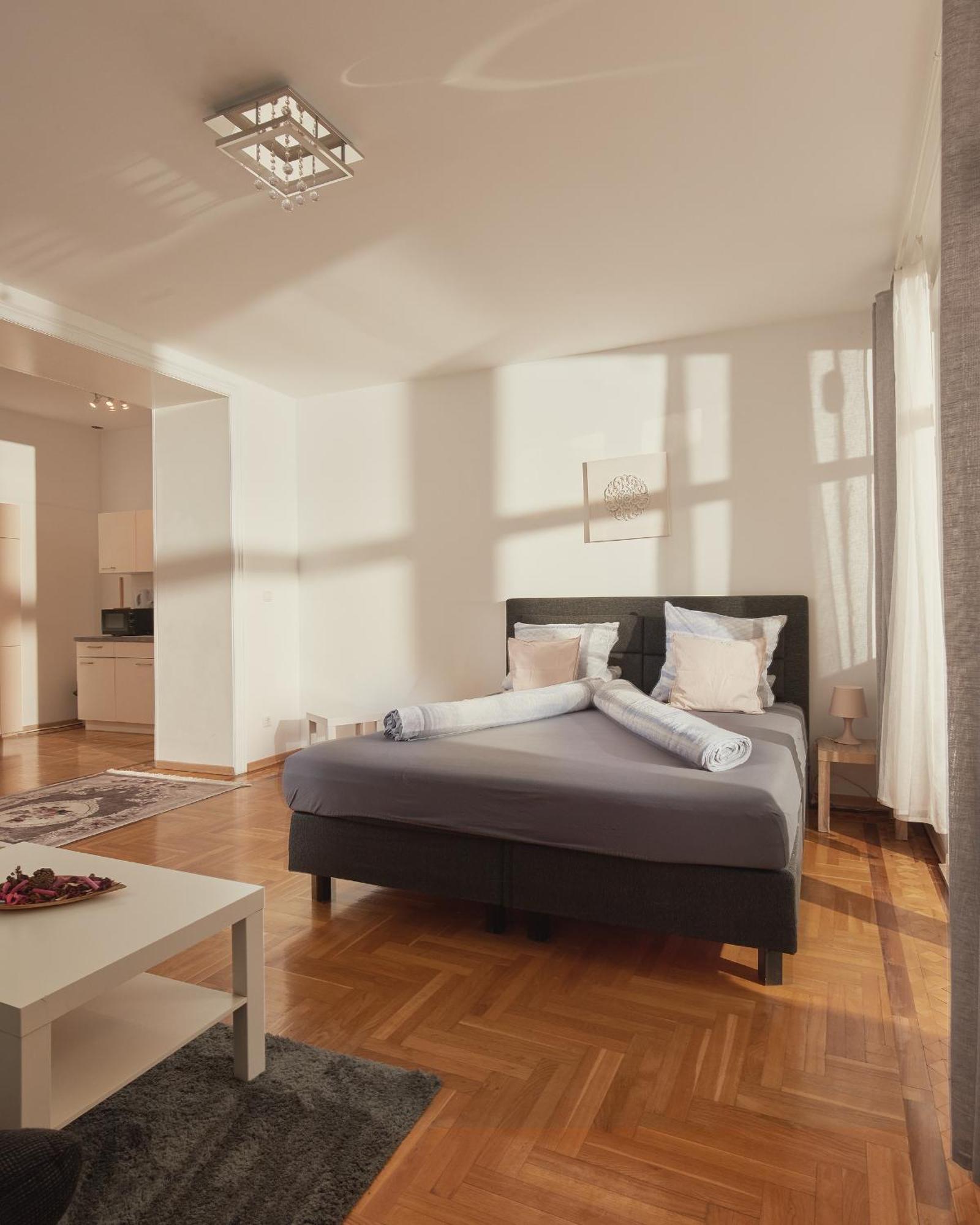 Schoenbrunn Palace Free Parking And 24h Check-in Apartment