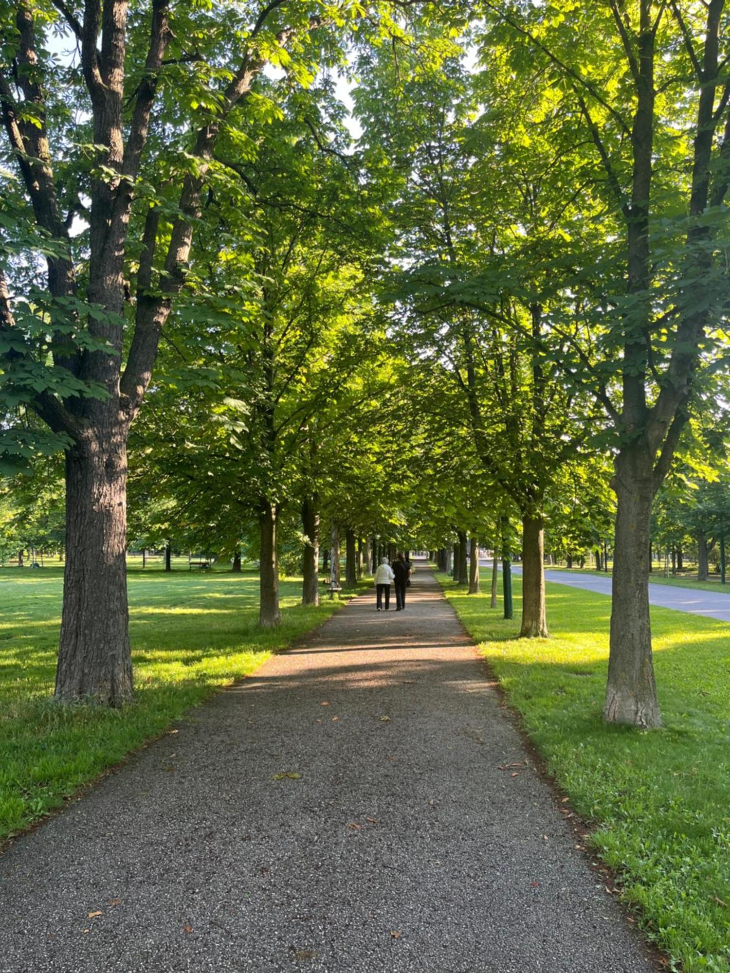 Appartamento Park Vienna