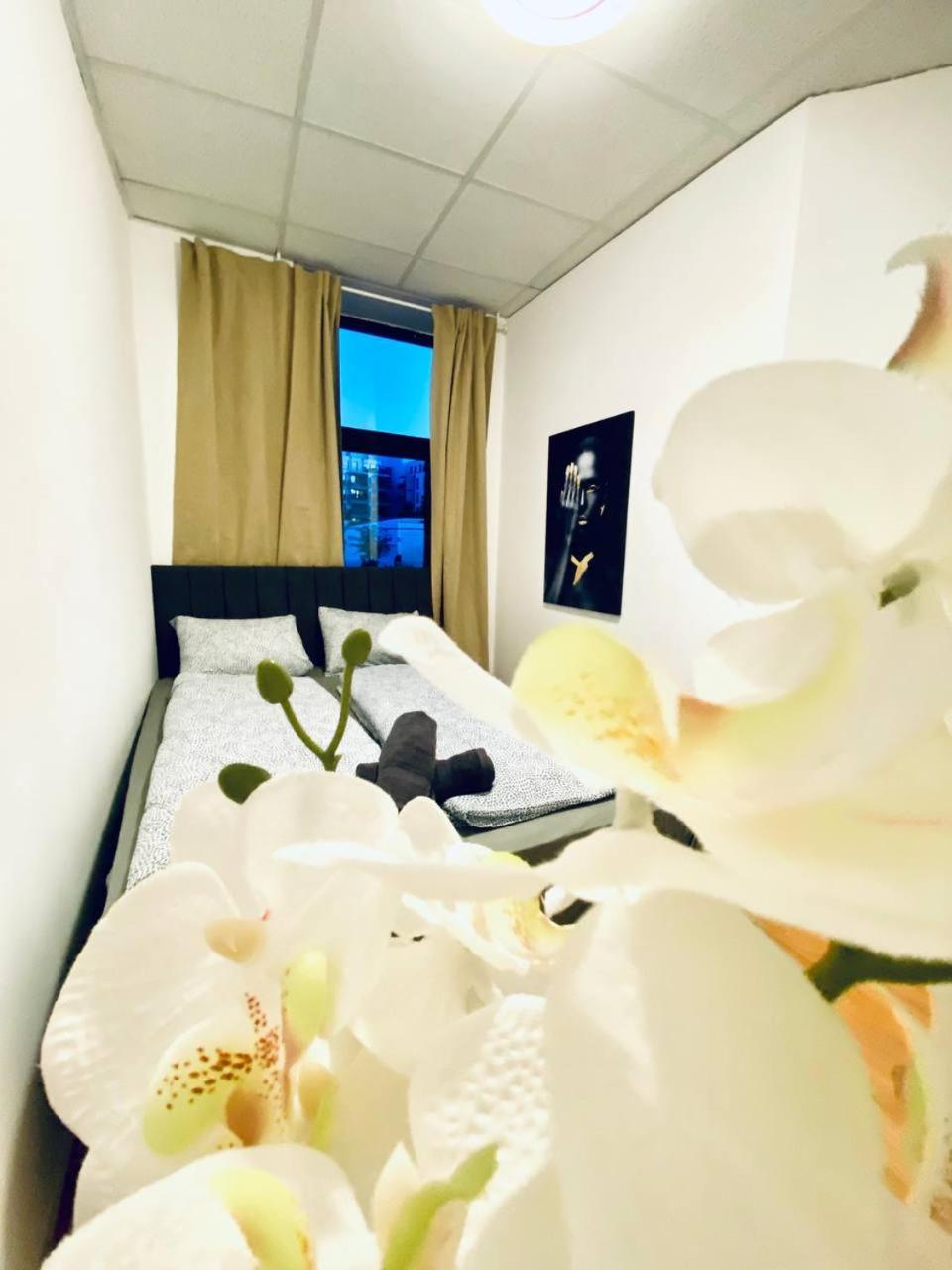Hospedagem domiciliar Comfortable In The 23rd District Of Fr3 Viena