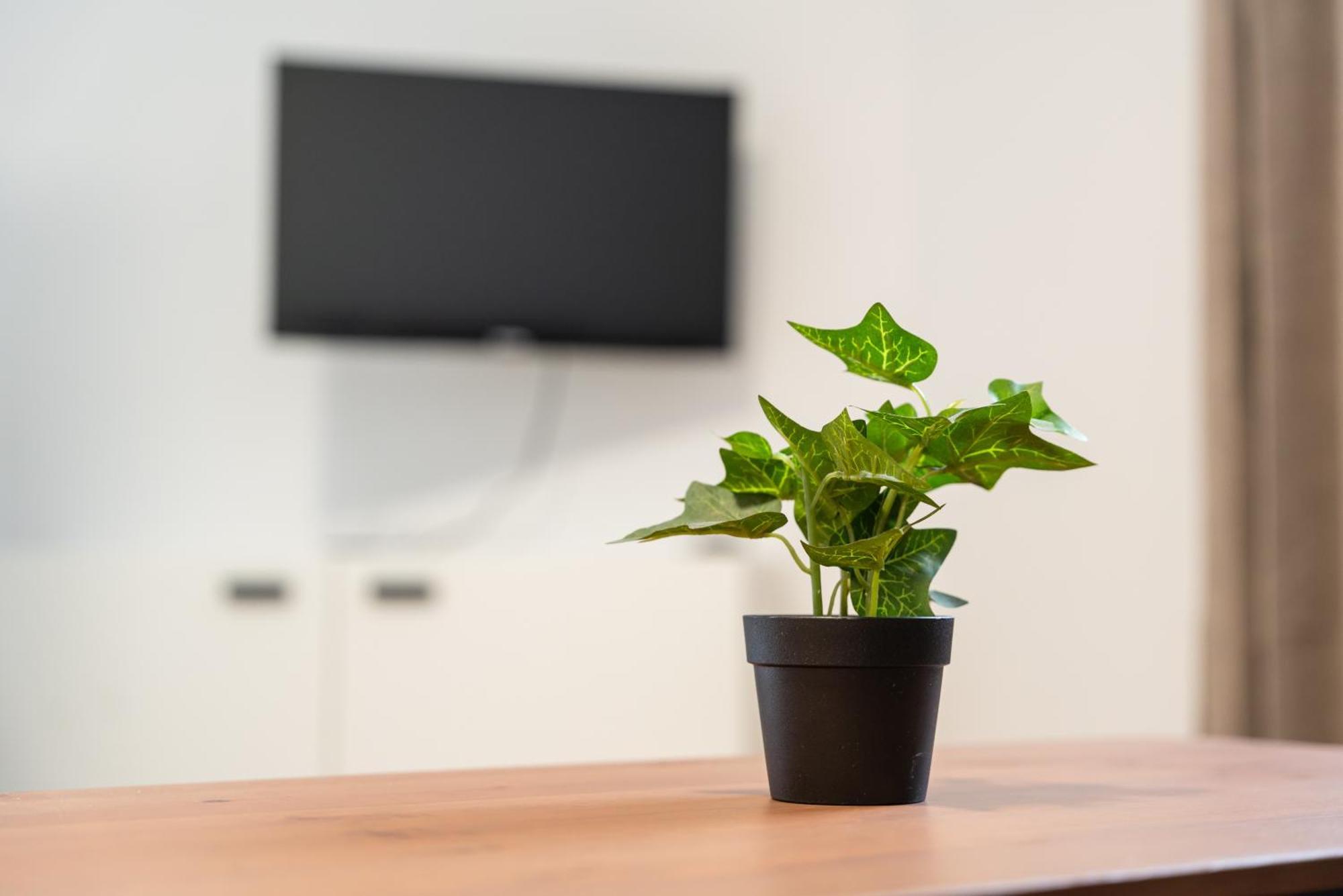 Apartamento Living - Wielemansgasse