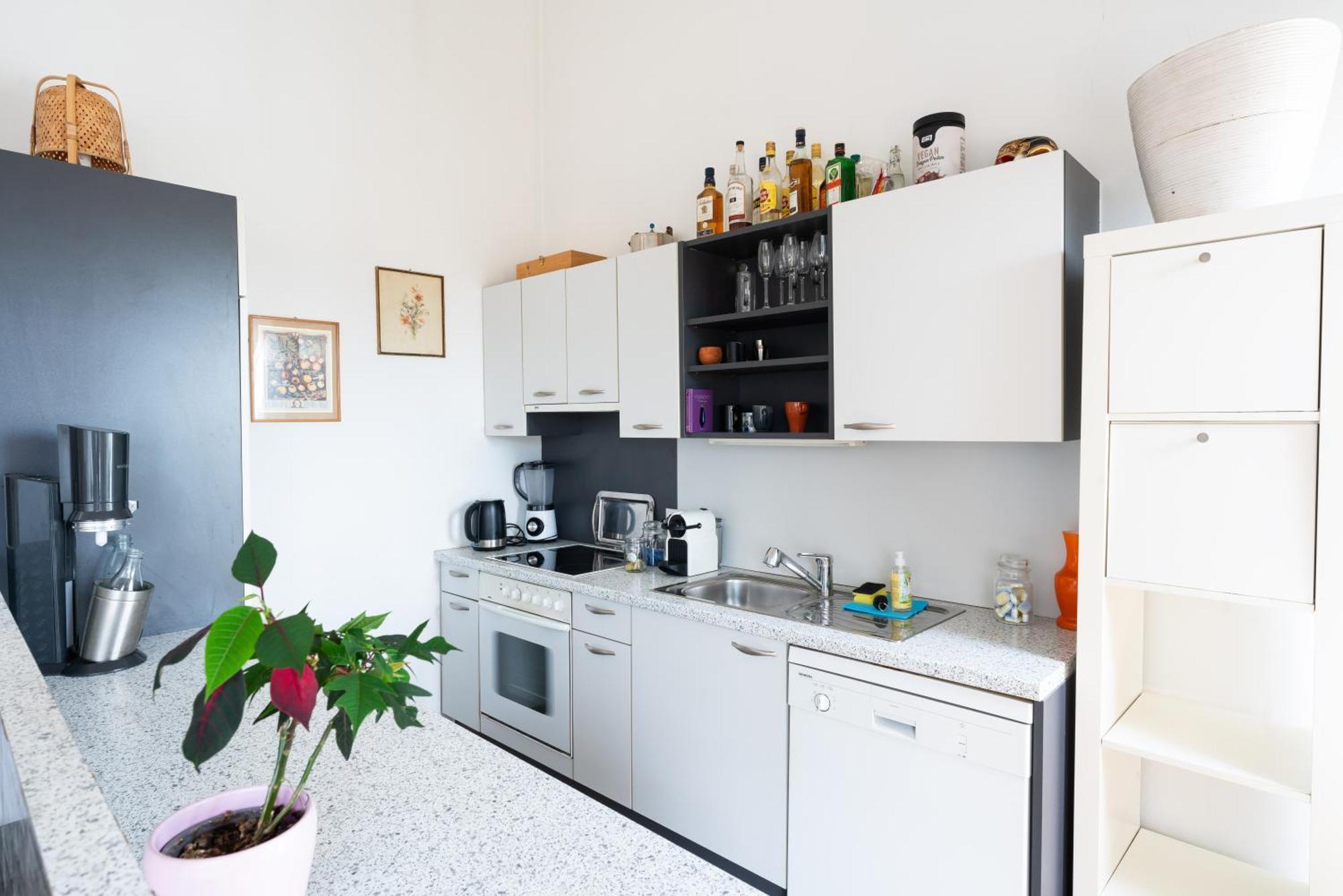 City Paradise Apartment