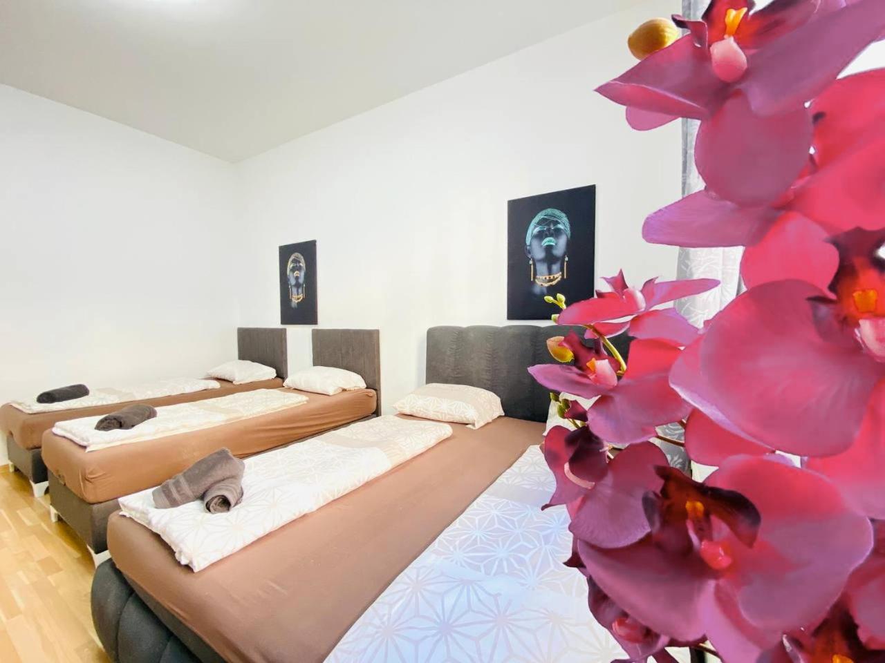 Apartment Family Studio In Schoenbrunn Area Vienna