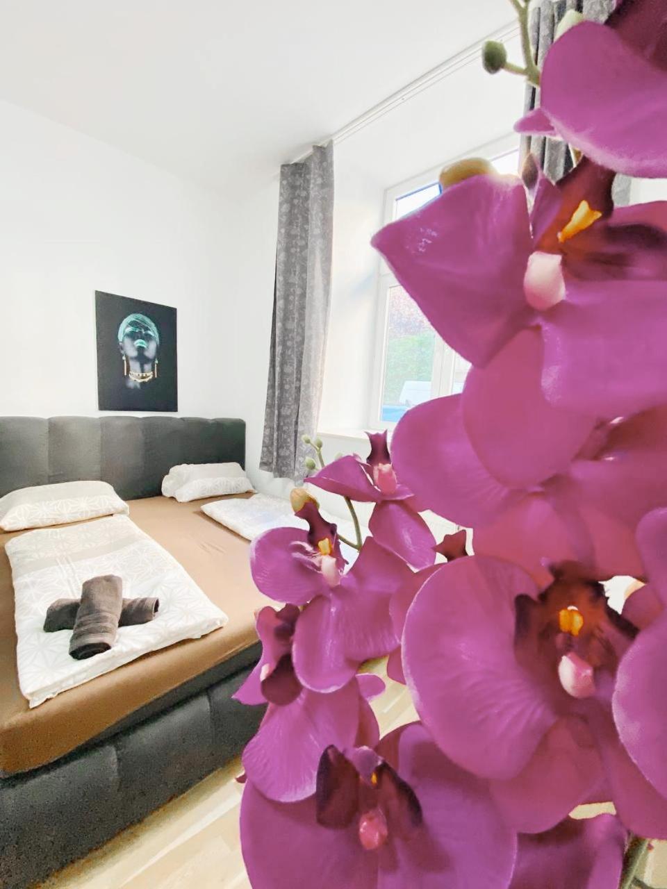 Family Studio In Schoenbrunn Area Vienna