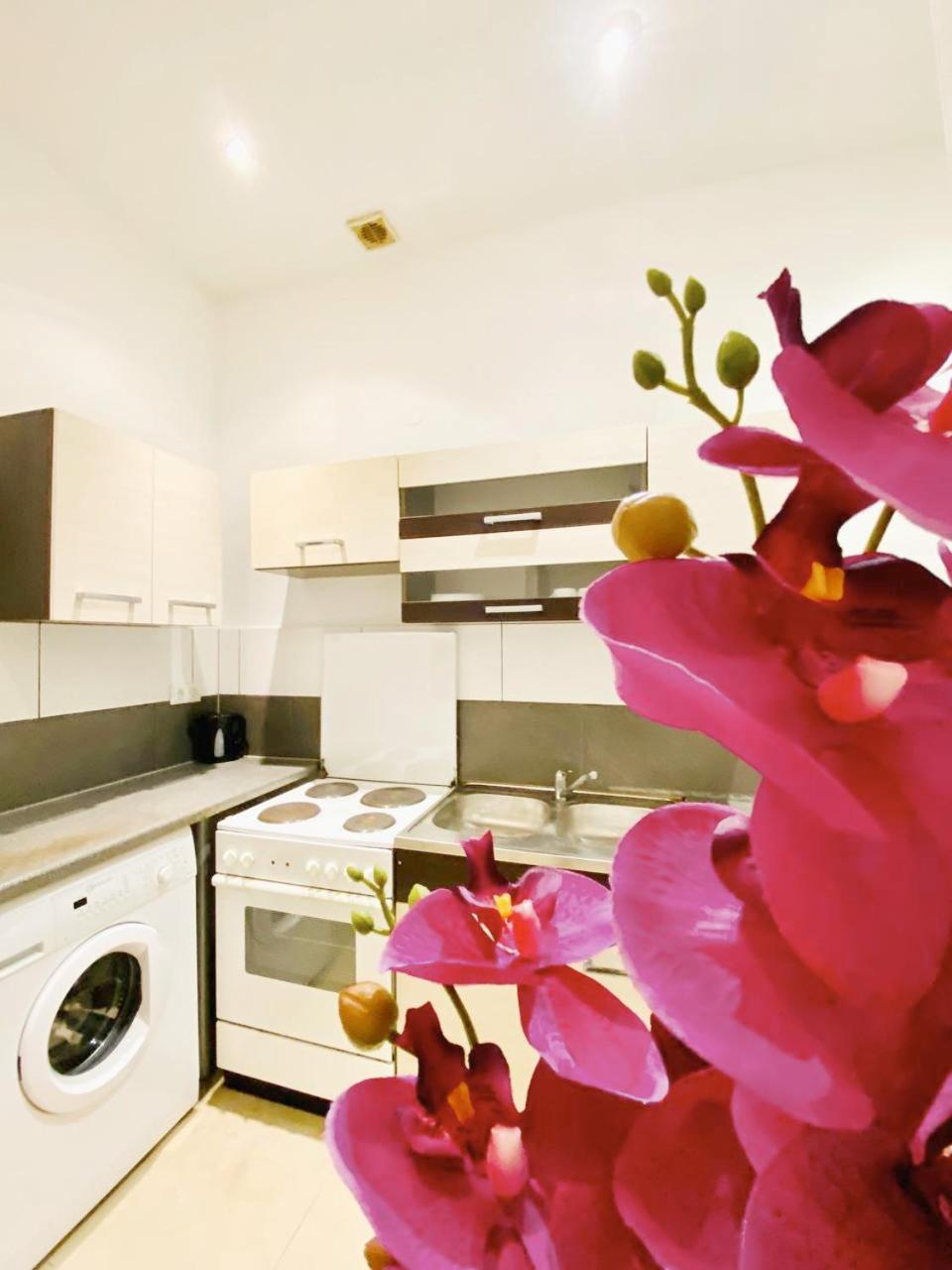 Family Studio In Schoenbrunn Area * Vienna